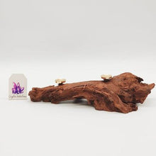 Load image into Gallery viewer, Wooden Branch Sphere Stand # 67
