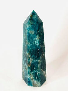 Apatite Point # 48