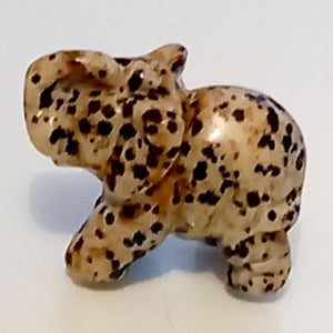 Dalmatian Jasper Elephant #141