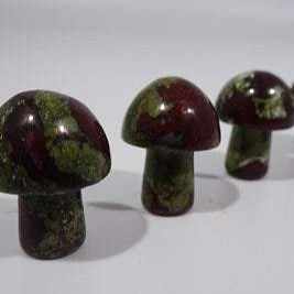 Dragons Blood Mini Mushroom