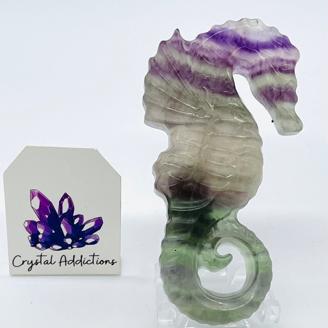 Rainbow Fluorite Seahorse # 151