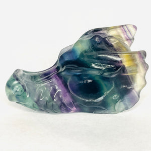 Rainbow Fluorite Dragon # 200