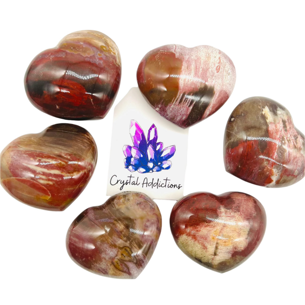 Petrified Wood Medium Hearts