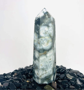 Ocean Jasper Point #17