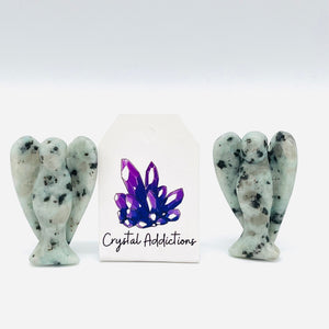 Kiwi Jasper Angel - Random Pick