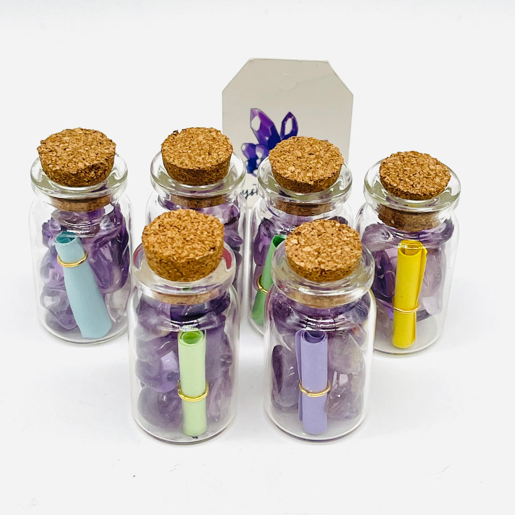 Wish Chips Bottles with Scroll