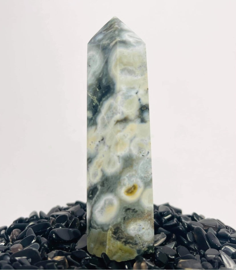 Ocean Jasper Point #33