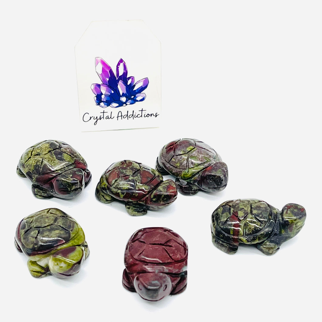 Dragons Blood Mini Turtles