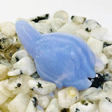 Load image into Gallery viewer, Blue Lace Agate Turtle #68
