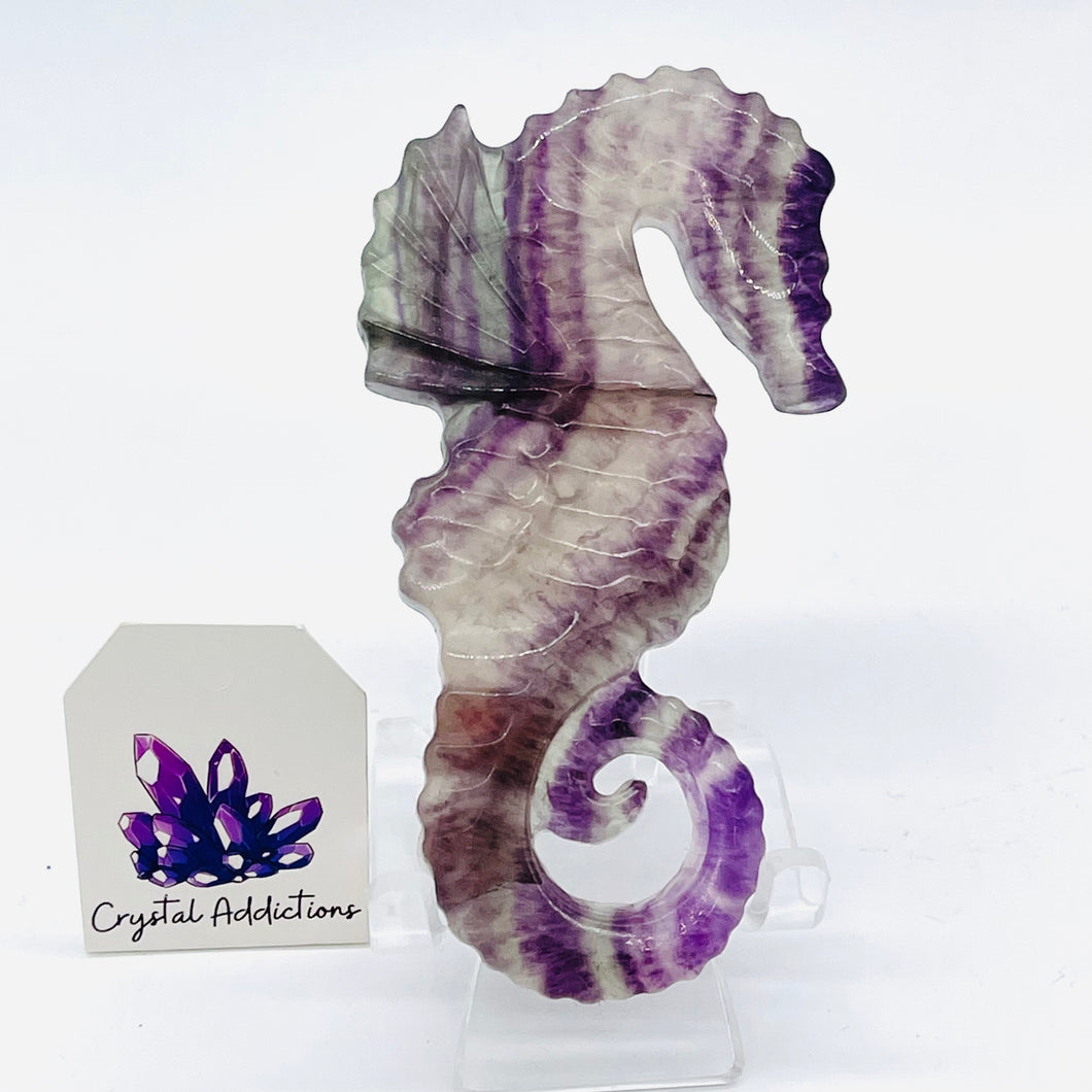 Rainbow Fluorite Seahorse # 149