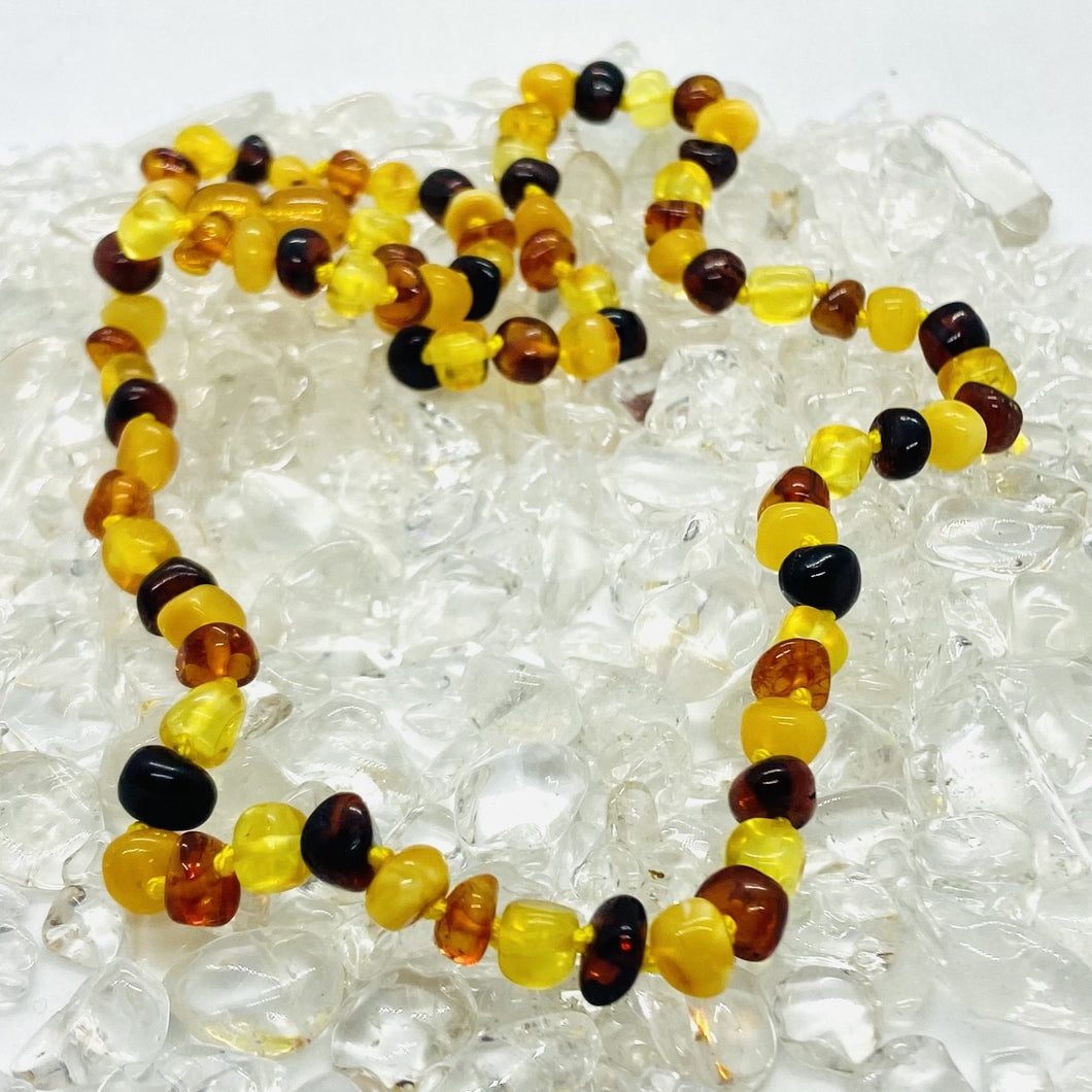 Amber Necklace Adult