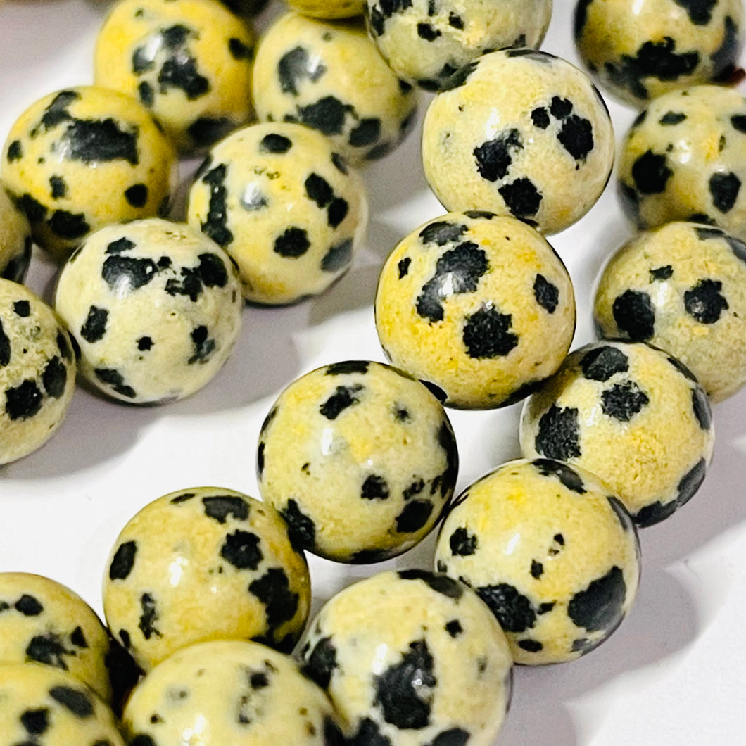 Dalmatian Jasper Bracelet