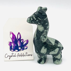 Chrysanthemum Stone Giraffe #159