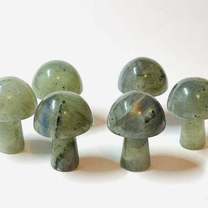 Labradorite Mini Mushroom