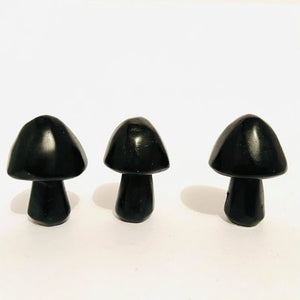 Black Obsidian Mushrooms