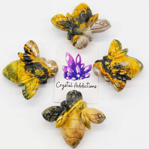 Bumblebee Jasper Bees