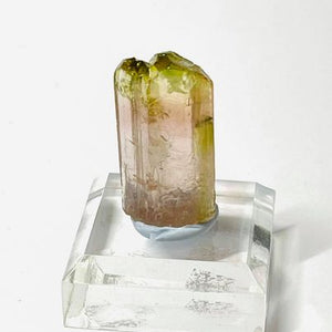 Watermelon Tourmaline Raw Specimen # 136